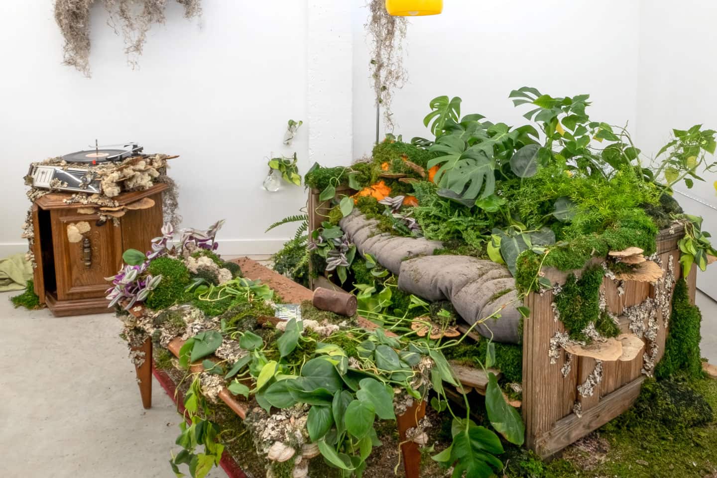 Peculiar Movements/Green Junctions at NAMARA projects